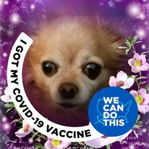 Meet your Posher, Beverly